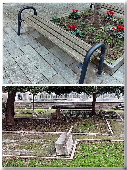 foto Foto di Domenico