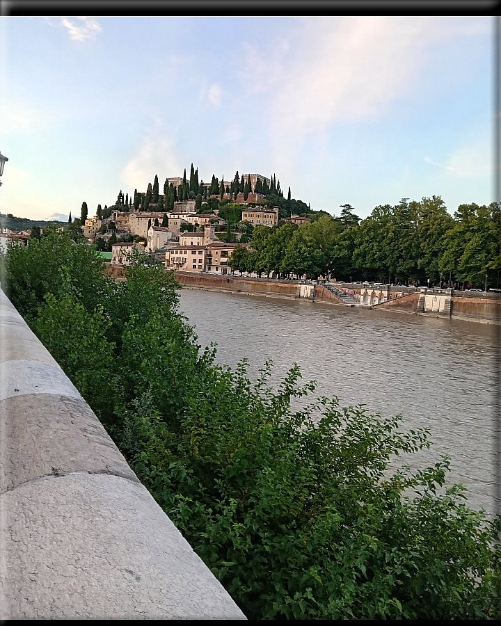 foto Foto di Domenico