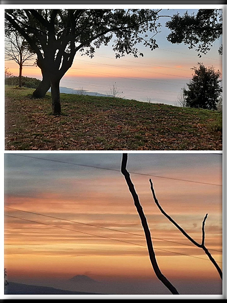 foto Foto di Domenico