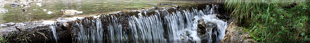 testata