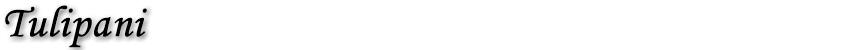 titolo