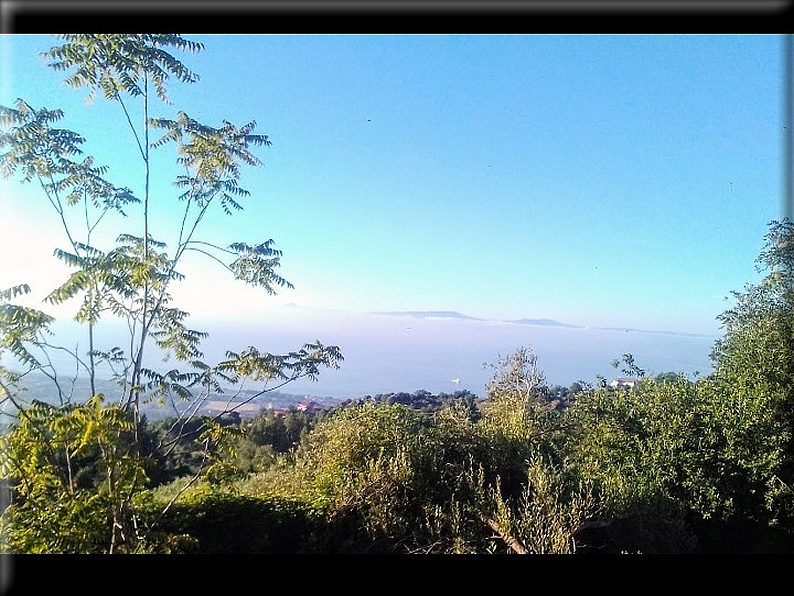 foto Foto di Domenico