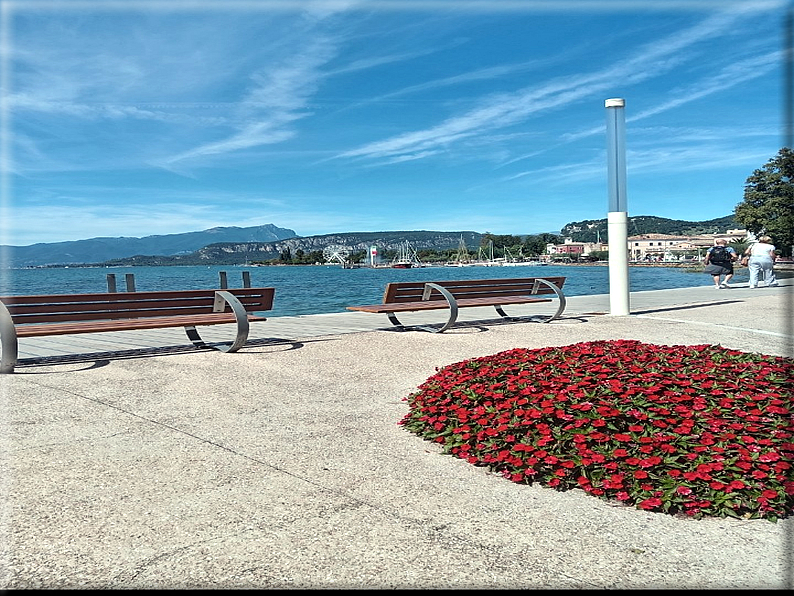 foto Foto di Domenico