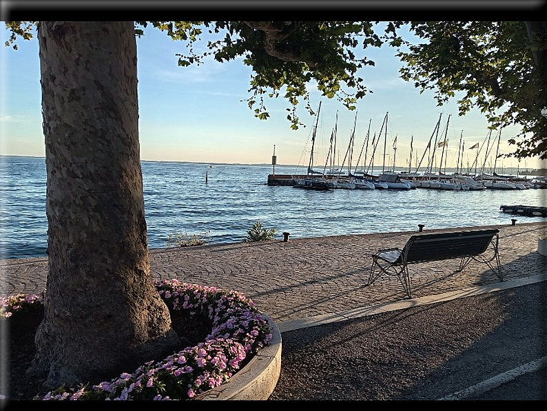 foto Foto di Domenico