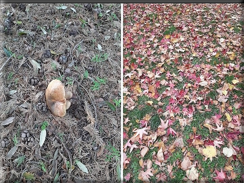 foto Foto di Domenico