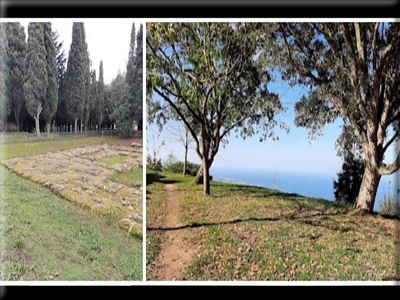 foto Foto di Domenico