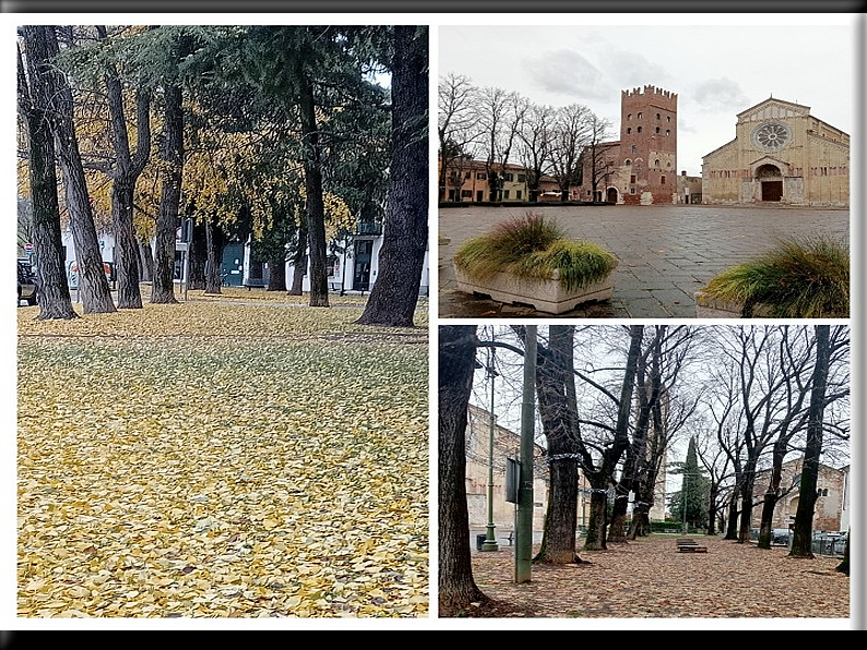 foto Foto di Domenico