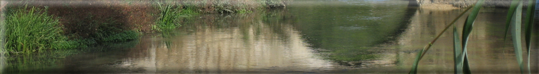 testata