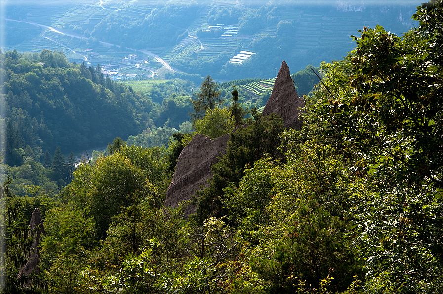 foto Piramidi di terra di Segonzano