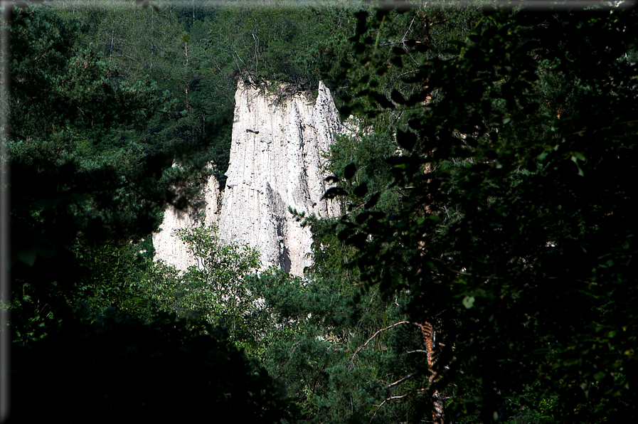 foto Piramidi di terra di Segonzano