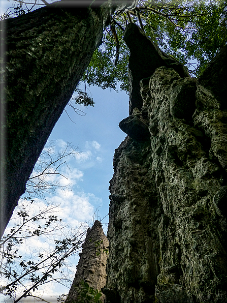 foto Piramidi di terra di Segonzano