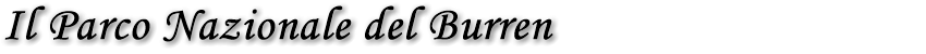 titolo