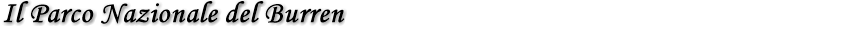 titolo