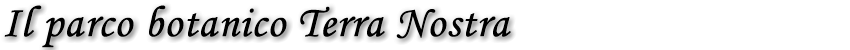titolo